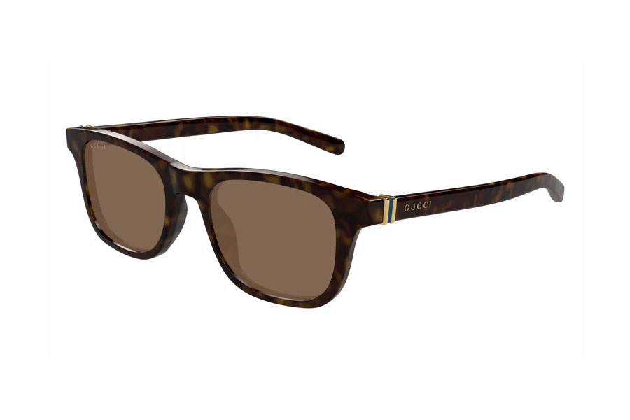 GUCCI GG1671S 006 53/19