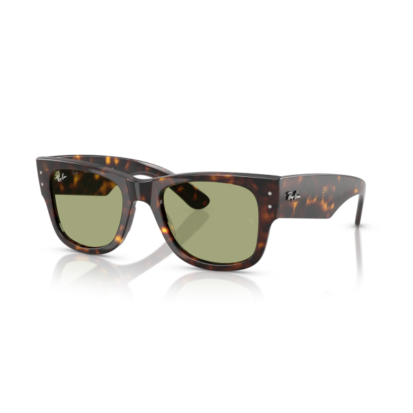 RB 0840S 902/4E 51 MEGA WAYFARER